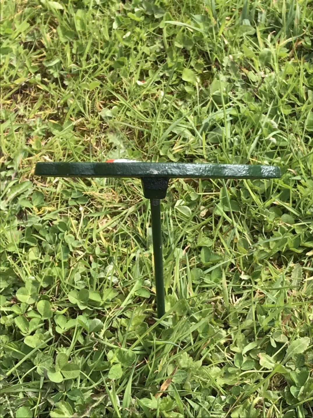 Garden Vegetable Sign CARROTS Cast Iron Vegetable Marker