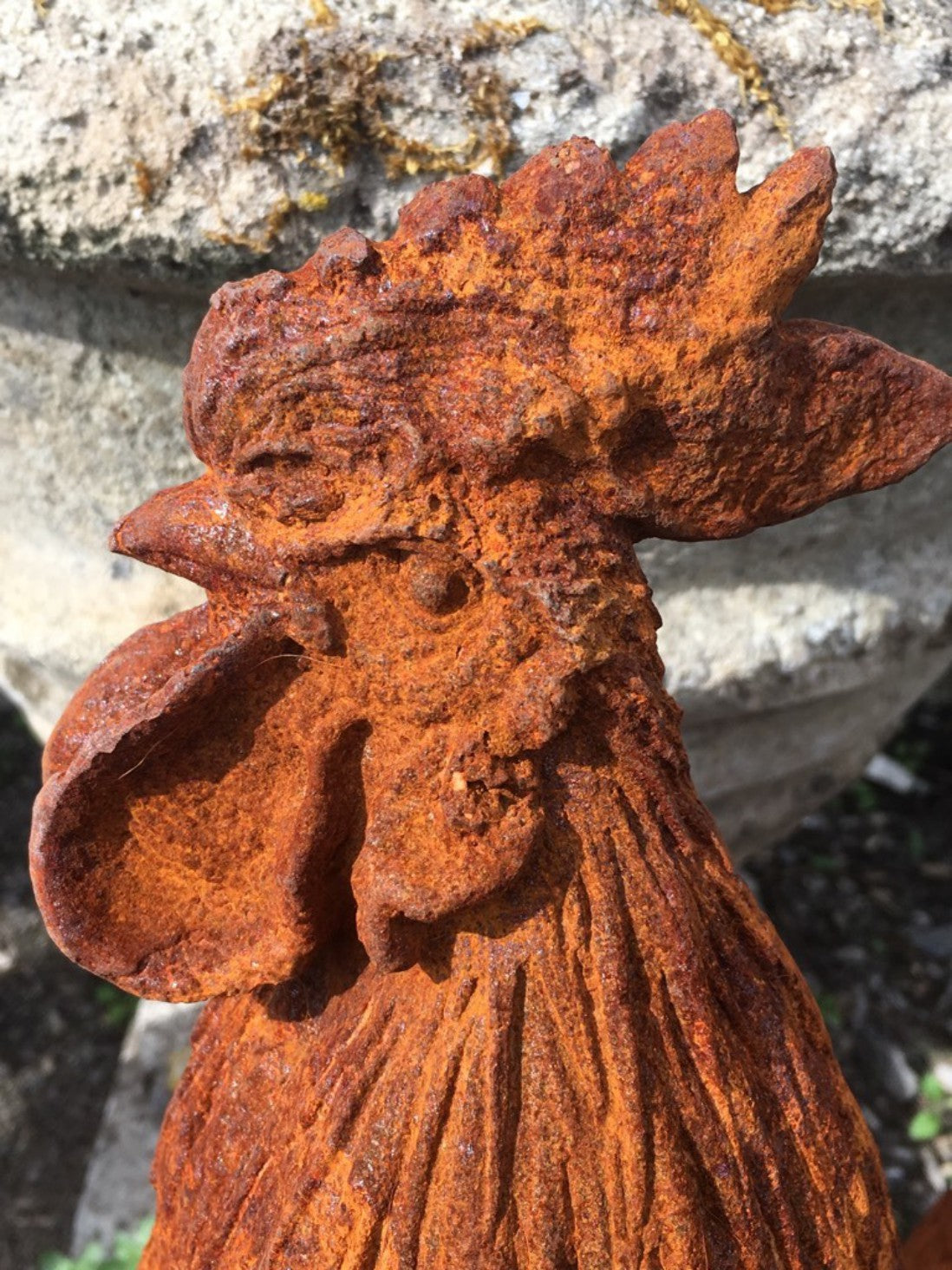 Life Size Cast Iron Rusty Cockerel Rooster Chicken Bird Statue