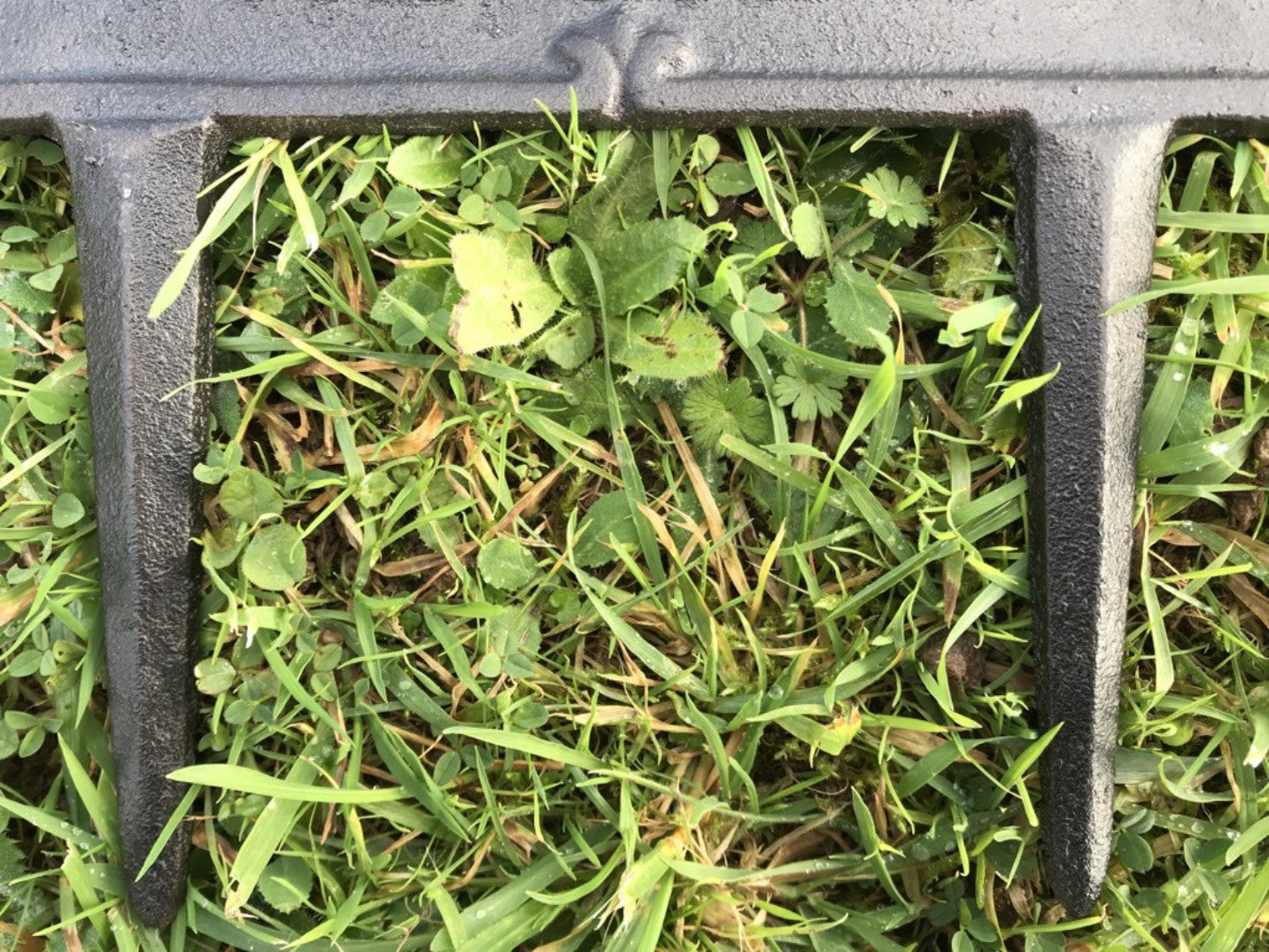 PLEASE KEEP OFF THE GRASS Cast Iron Garden Marker New With 2 Ground Spikes