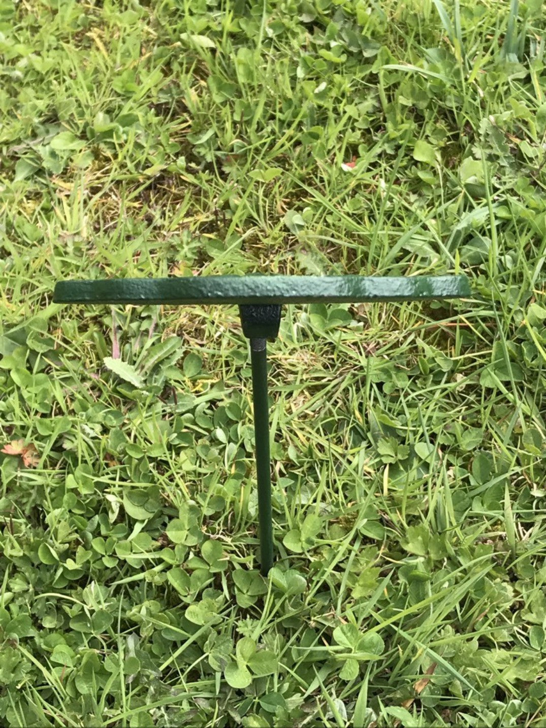Garden Vegetable Sign BEANS Cast Iron Vegetable Marker