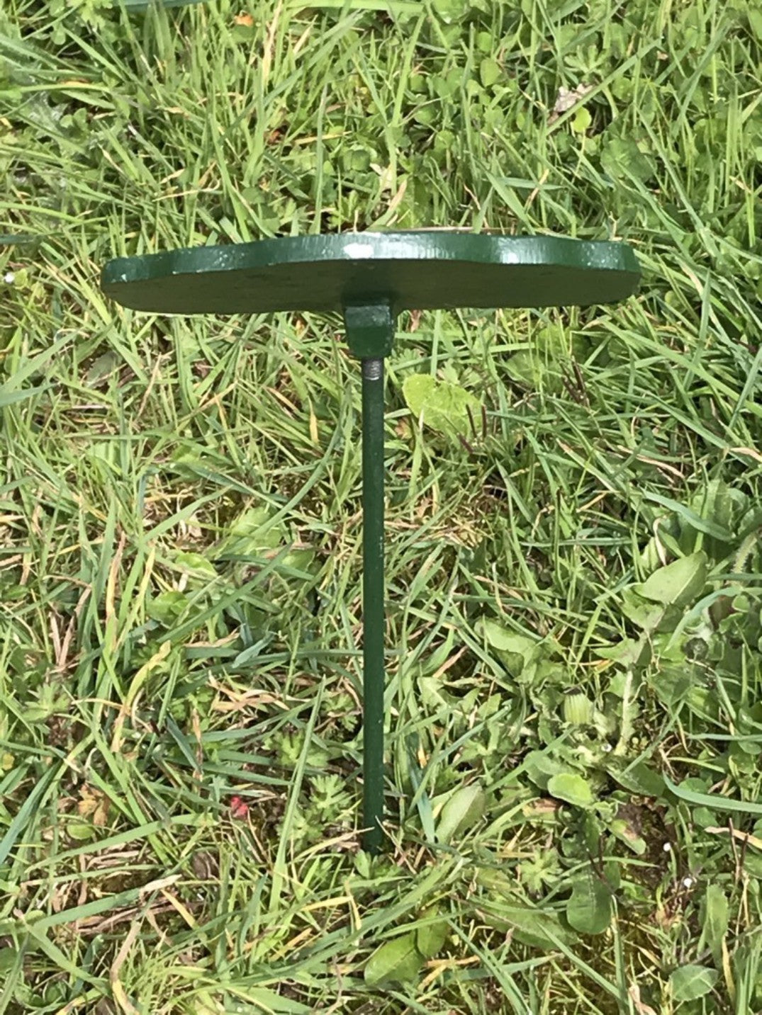 Garden Vegetable Sign LETTUCE Cast Iron Vegetable Marker