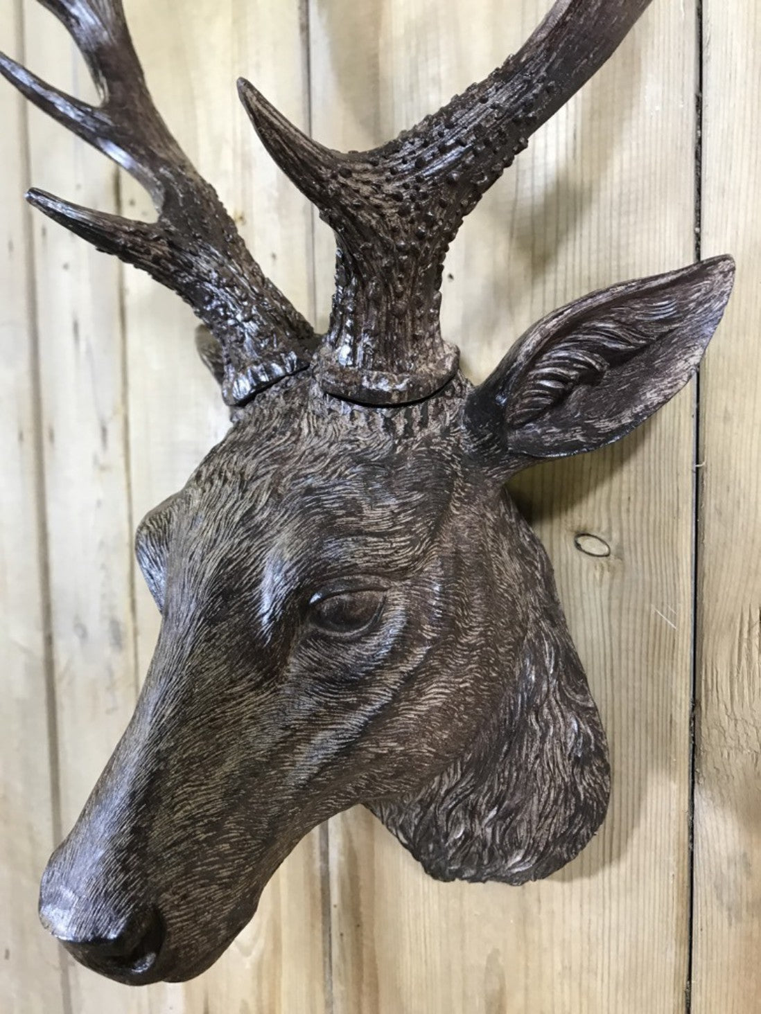 Small Detailed Brown Wall Mounted Stags Head With Antlers 19