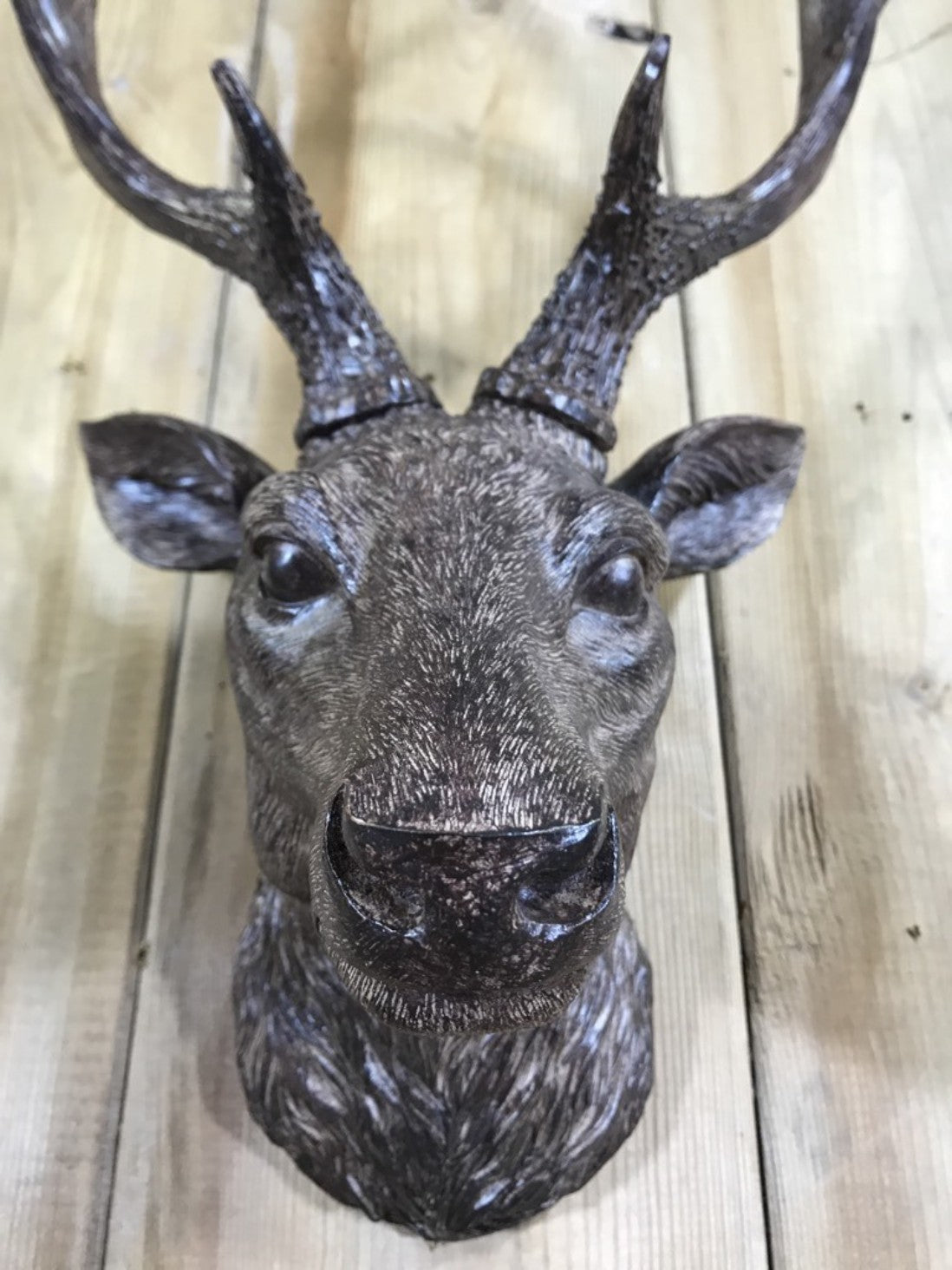 Small Detailed Brown Wall Mounted Stags Head With Antlers 19