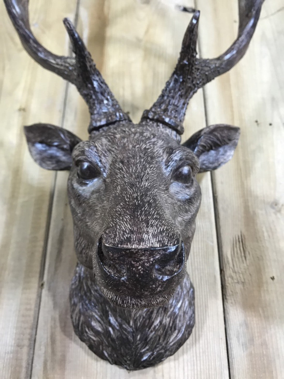 Small Detailed Brown Wall Mounted Stags Head With Antlers 19