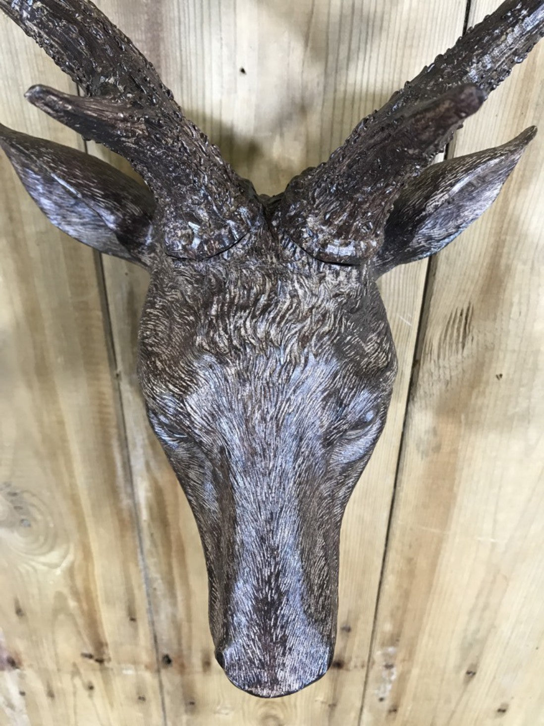 Small Detailed Brown Wall Mounted Stags Head With Antlers 19