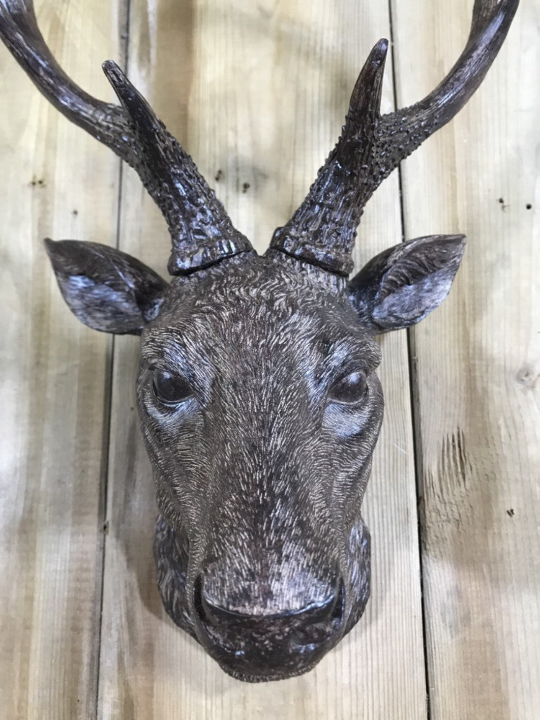 Small Detailed Brown Wall Mounted Stags Head With Antlers 19