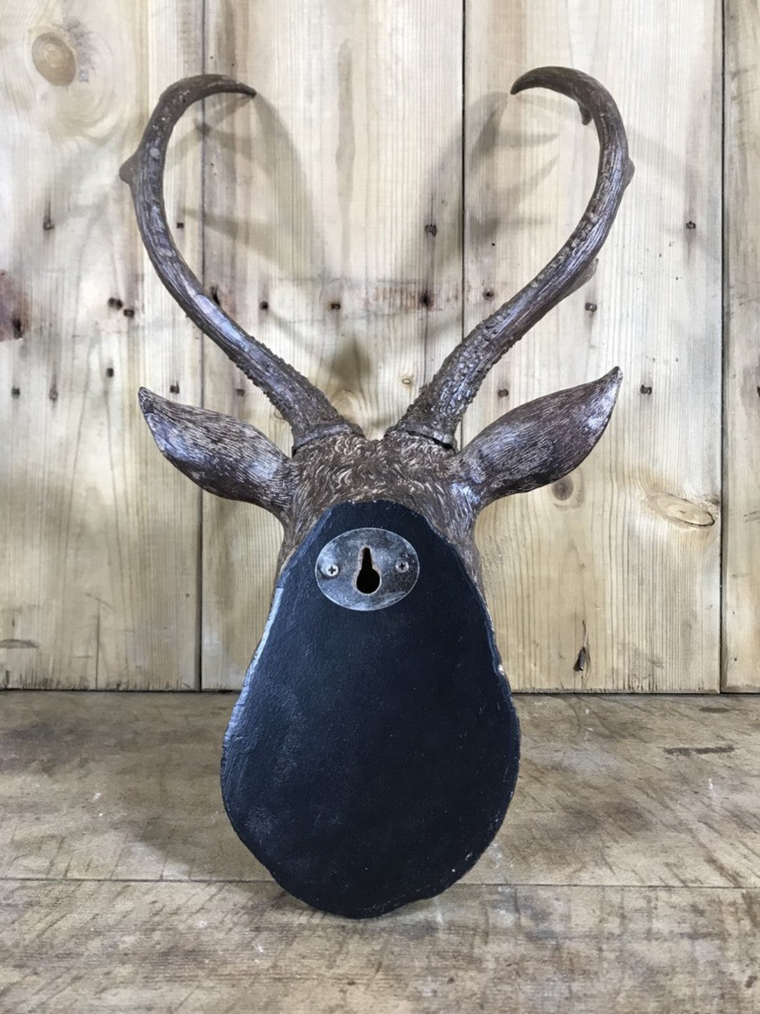 Small Detailed Brown Wall Mounted Stags Head With Antlers 19