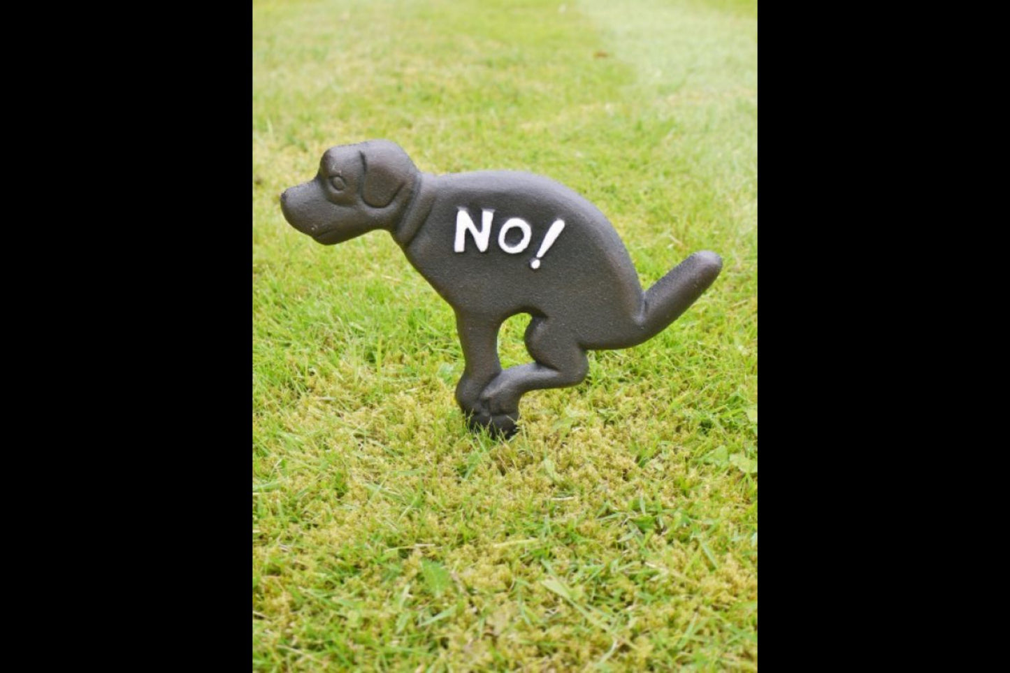 No Fouling Sign With Integrated Stake 12x9