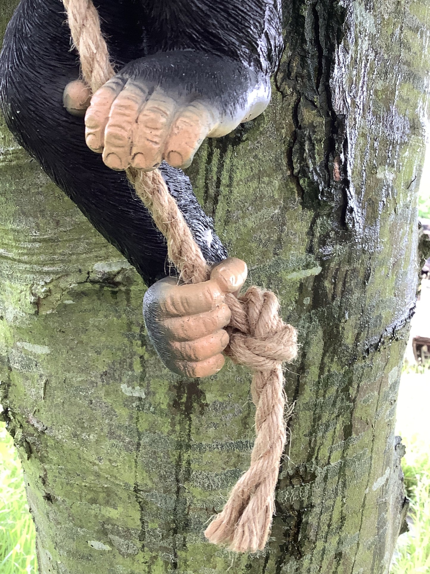 Swinging On A Rope Resin Cheeky Monkey Ape Jungle Animal Garden Figure