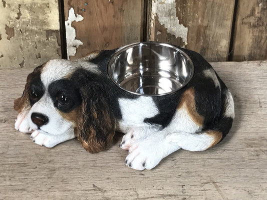 Painted Black,White,Tan King Charles Dog Bowl with 1 Stainless steel Bowl