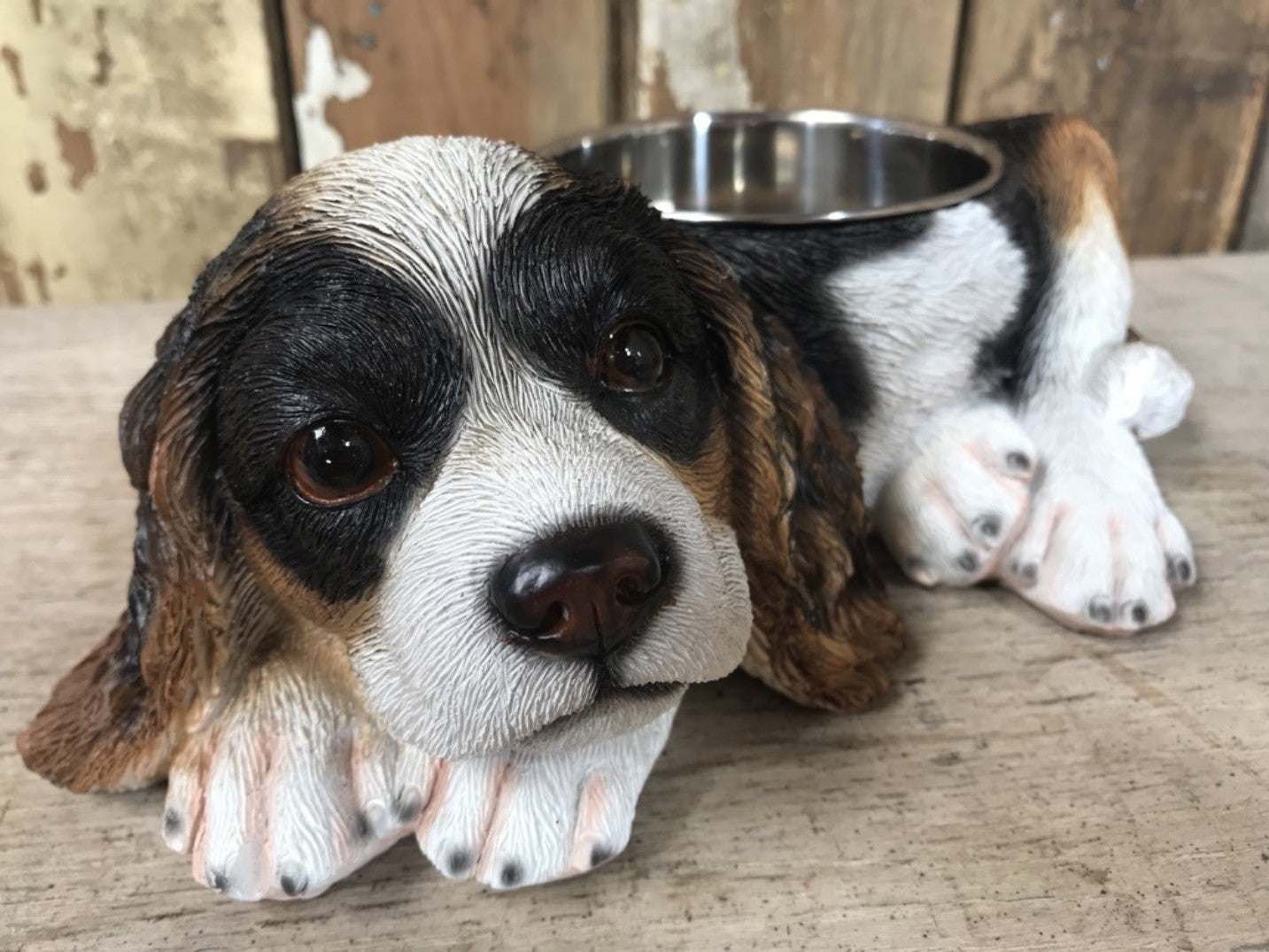 Painted Black,White,Tan King Charles Dog Bowl with 1 Stainless steel Bowl