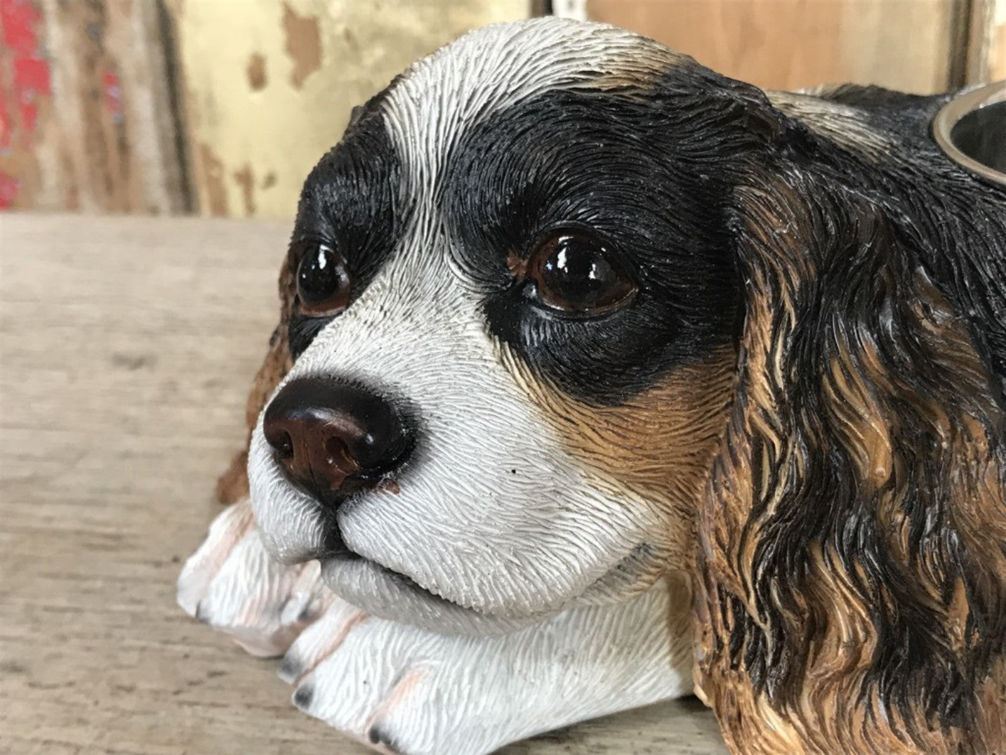 Painted Black,White,Tan King Charles Dog Bowl with 1 Stainless steel Bowl