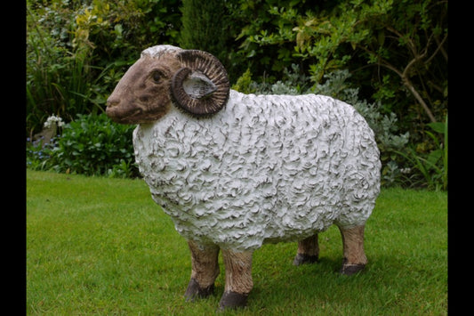 Resin Ram Sheep Statue Standing 52x65x23cm