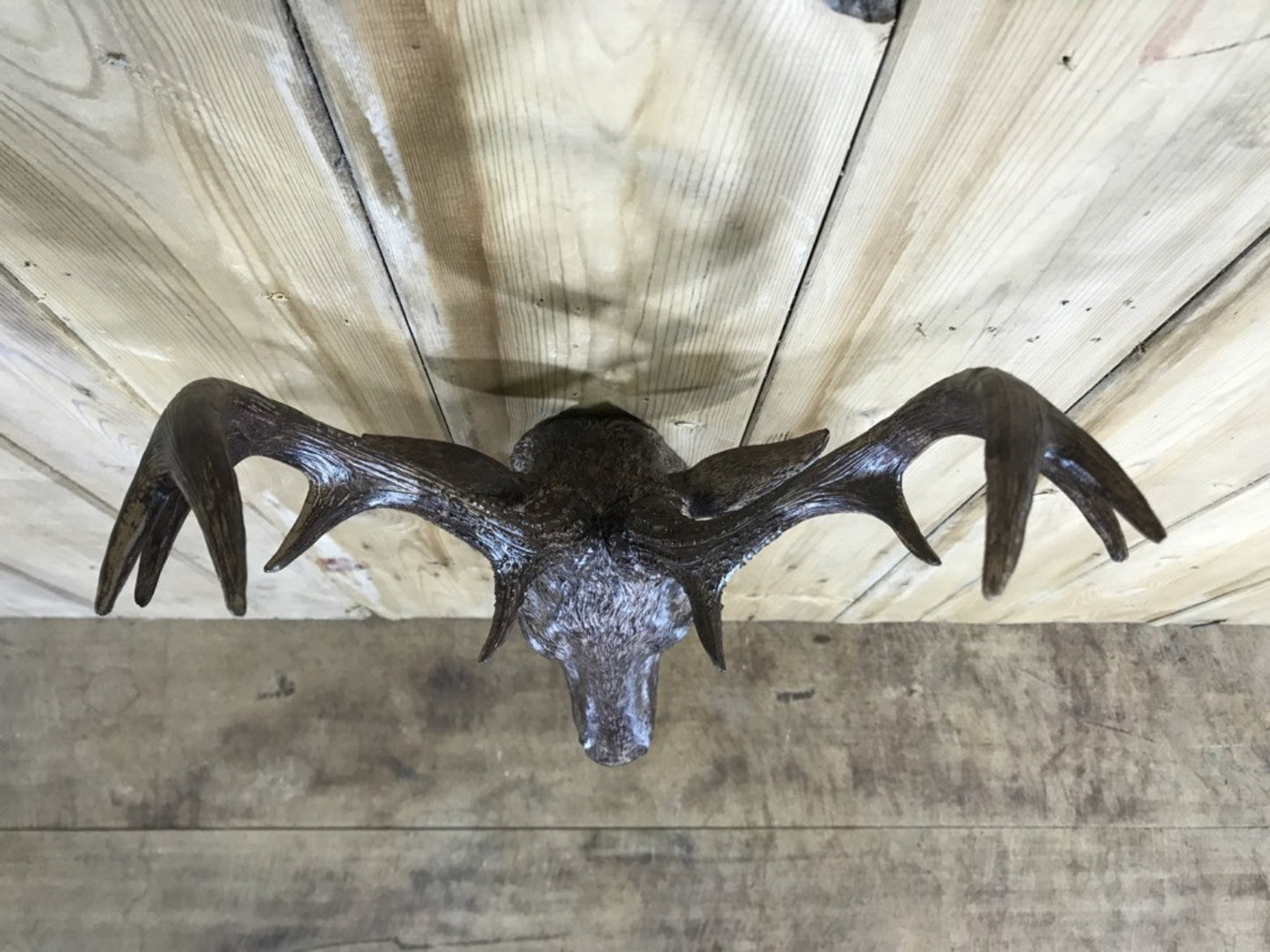 Small Detailed Brown Wall Mounted Stags Head With Antlers 19”
