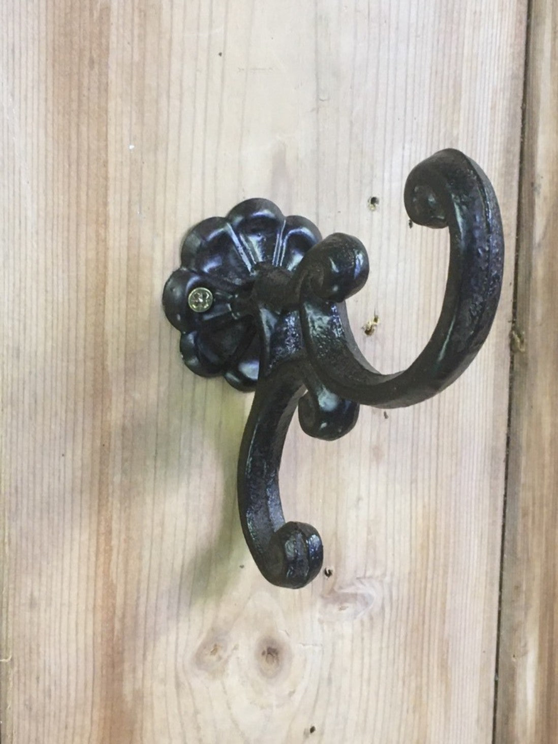 Cast iron double coat hook with a rosette back – Somerset Shop
