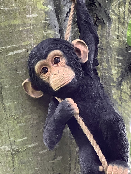 Swinging On A Rope Resin Cheeky Monkey Ape Jungle Animal Garden Figure